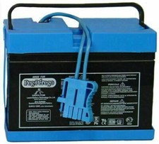 Peg Perego IAKB0501 12V Battery