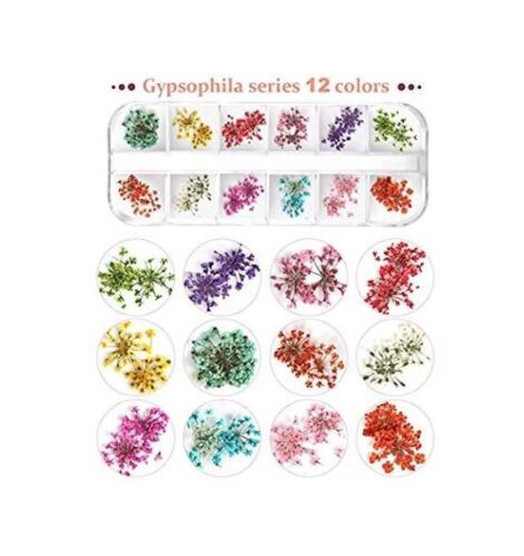Teenior 24 Colors Nail Dried Flowers, 3D Nail Art Sticker for Tips Manicure Deco - Picture 5 of 7