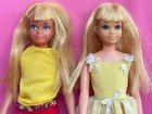 Vintage 1972 Barbie Blonde Bend Leg Skipper Malibu TNT Skipper Flower Girl #1904