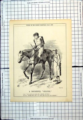 Antiker Druck Punch Cartoon Doubtful Stayer Jockey mehrheitlich montiert 1895