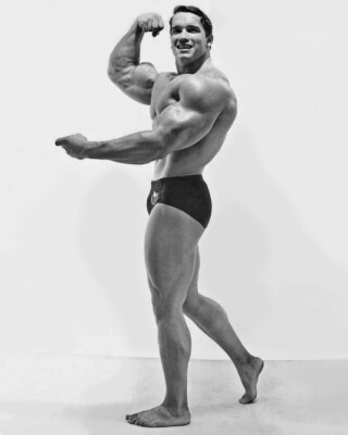 Bodybuilder, Actor ARNOLD SCHWARZENEGGER 8x10 Photo Celebrity Print Poster
