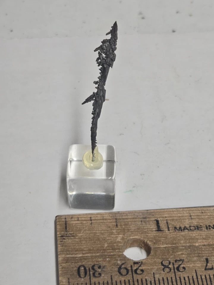 Beautiful Native Silver Australia specimen - Image 3 of 3