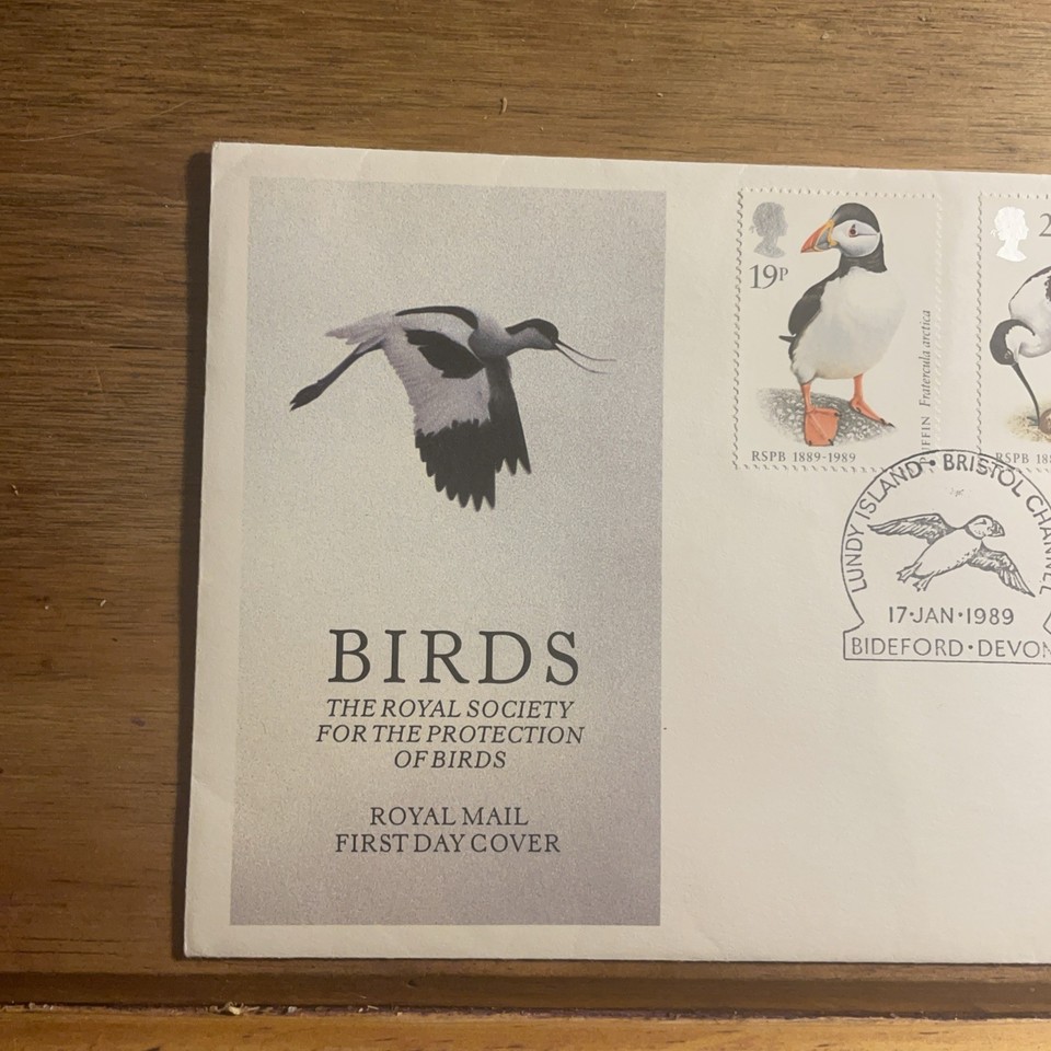 Window Covering Bird Protection 1989 Birds First Day Cover, Bideford pm Lundy island. | eBay UK