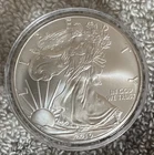 2010 American Silver Eagle Dollar 1 oz Fine Silver Uncirculated Beautiful Coin