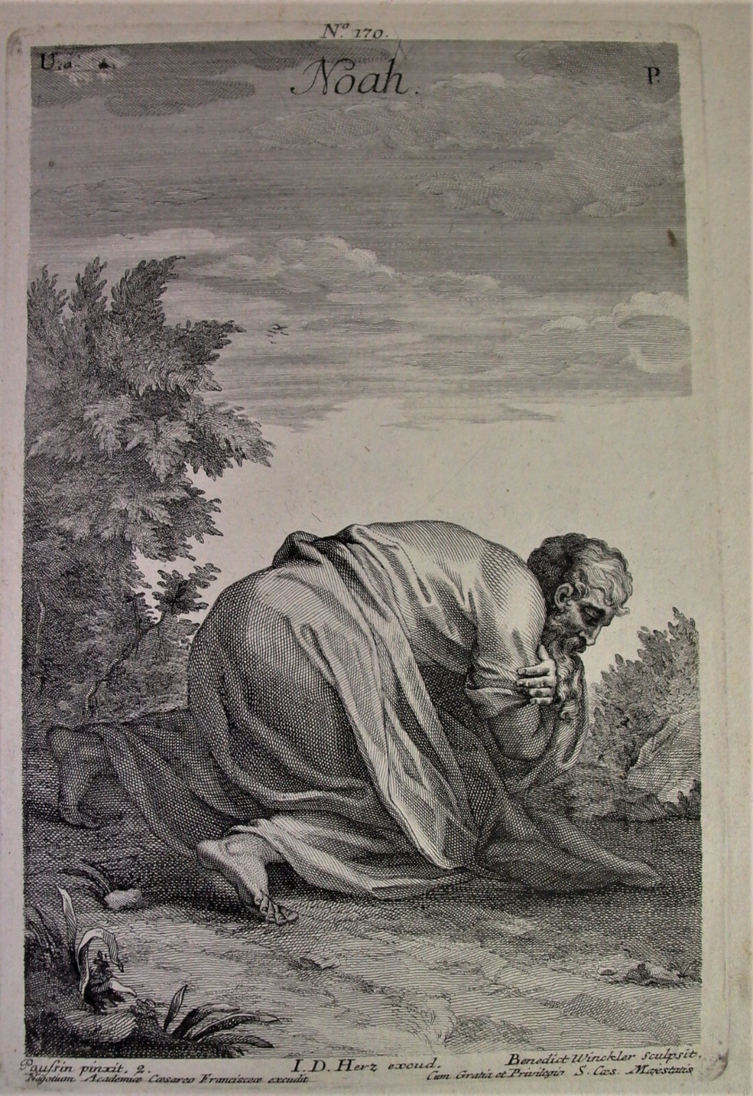 Picture 1 of 7