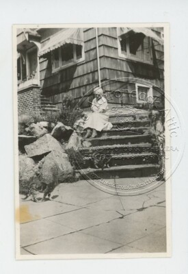 Vintage Photo Older Cat Lady Feeds Stray Cats Walking Up On Garden Steps 1930s