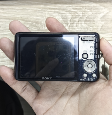 Sony Cyber-shot DSC-W570 16.1MP Digital Camera 5x Zoom with