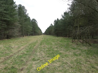 Foto 6x4 Schießplattform Weeting Viele Rehe werden im Wald geschossen c2013
