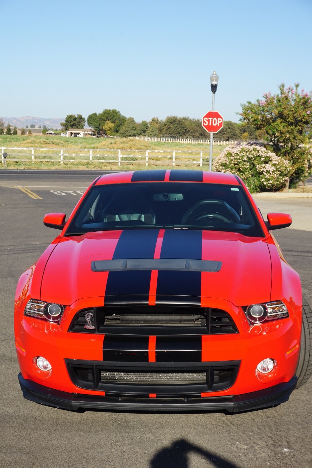 2014 Ford Mustang SHELBY GT500