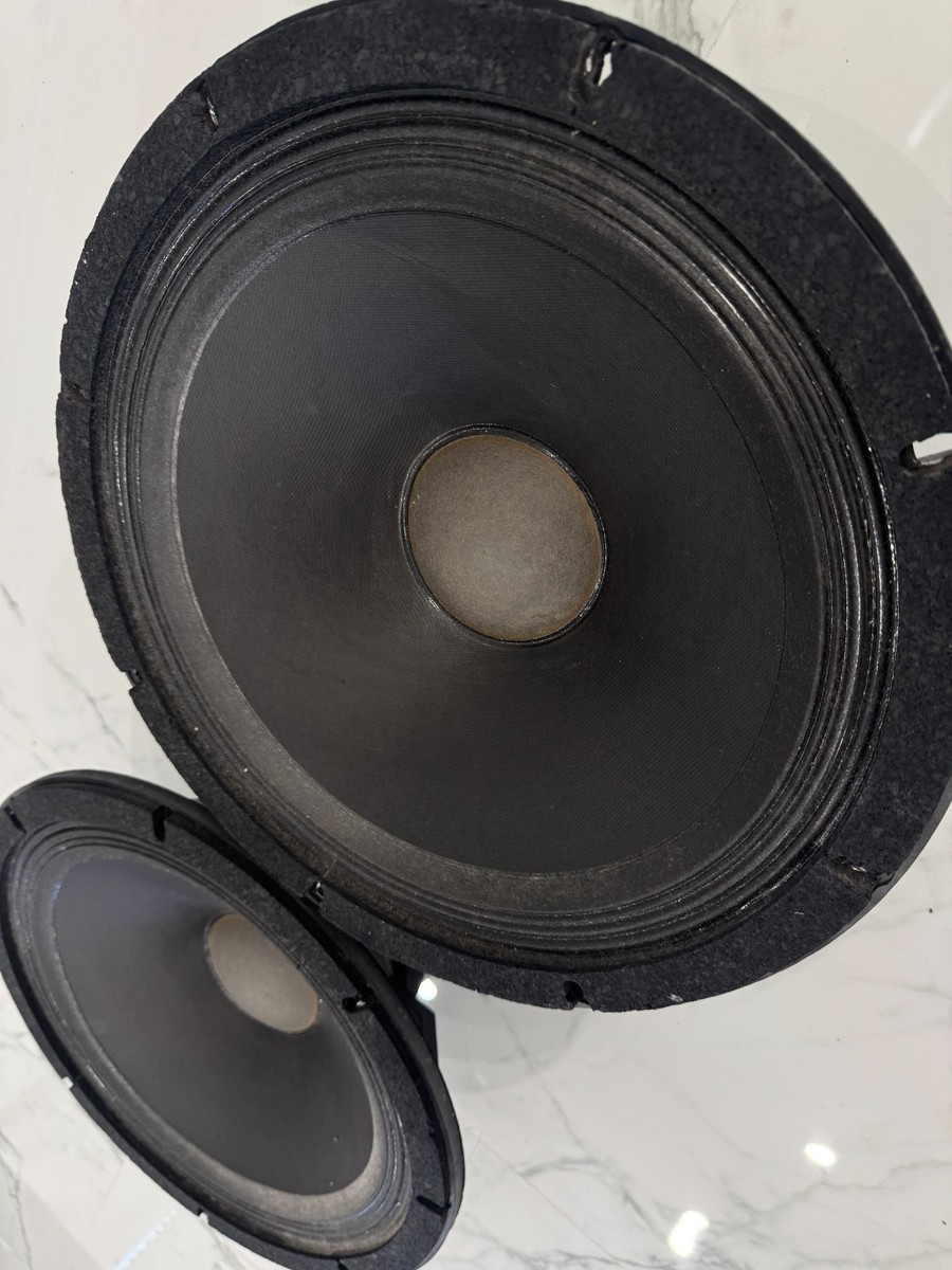 ALTEC LANSING 3156 15 Inch Cone Type Woofer Pair - Made in