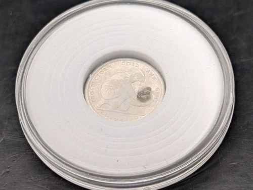 🔥 VTG RARE .05 OZ TROY PROSPECTOR ROUND .999 FINE SILVER W/ BIG 22K GOLD NUGGET