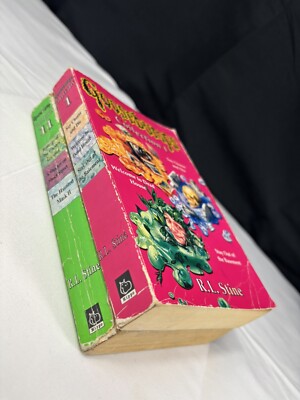RL Stine Gänsehaut Bücher Konvolut Klassik Sammlung x 2 Bände / Bücher 6 RETRO