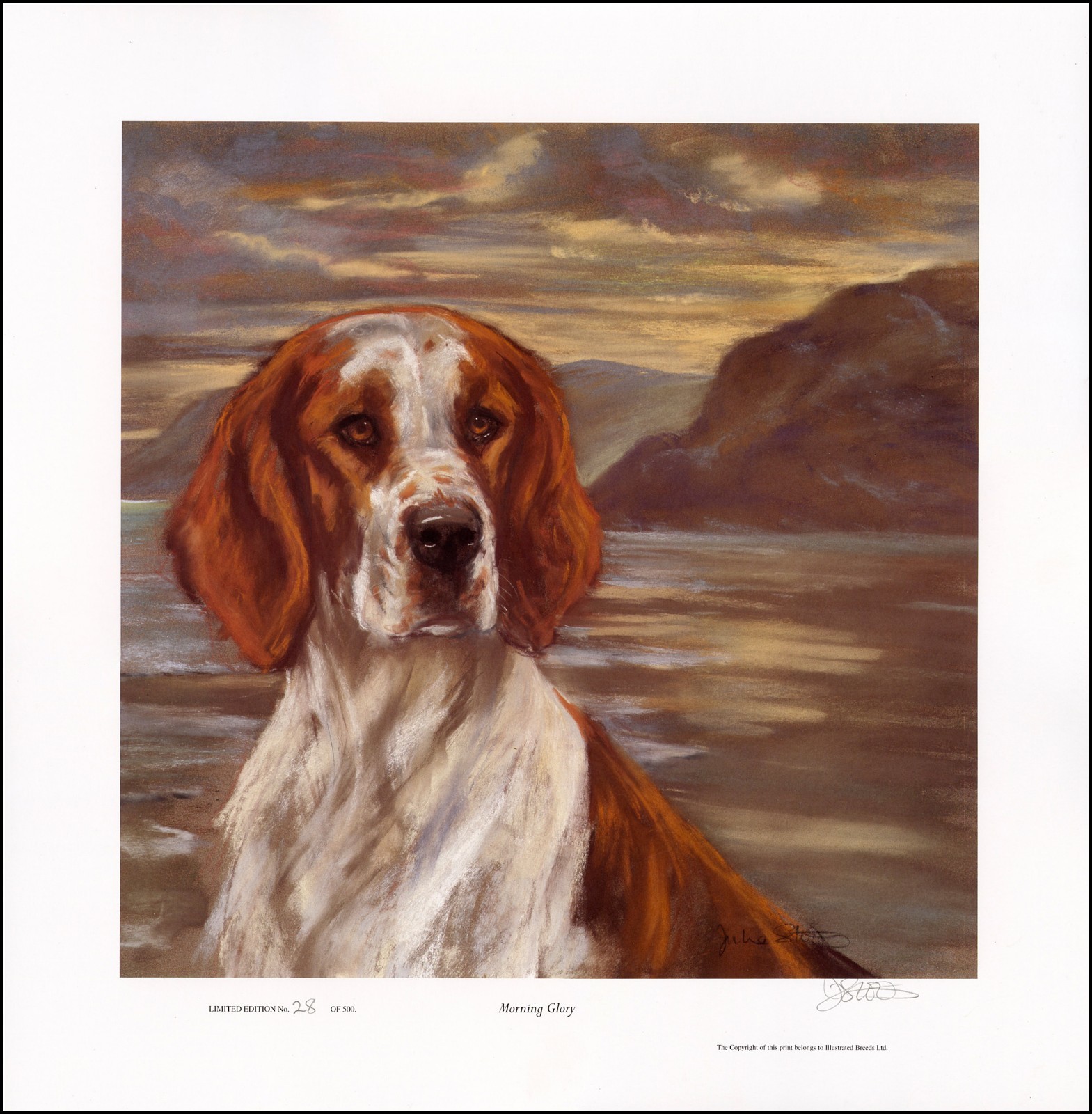 WELSH SPRINGER SPANIEL WSS DOG FINE ART LIMITED EDITION PRINT - by ...