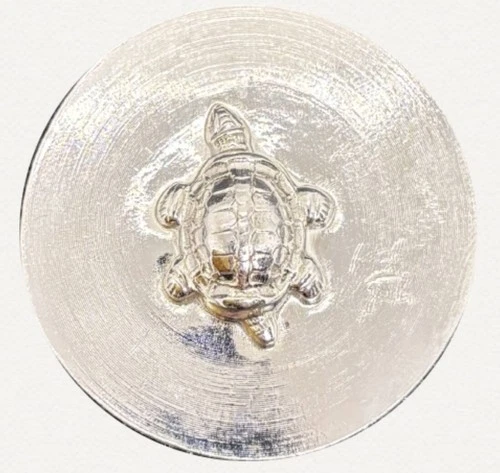 2025 Hayleybug 1/2 oz Turtle .999 silver Round