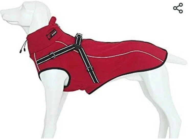 Morezi dog best sale