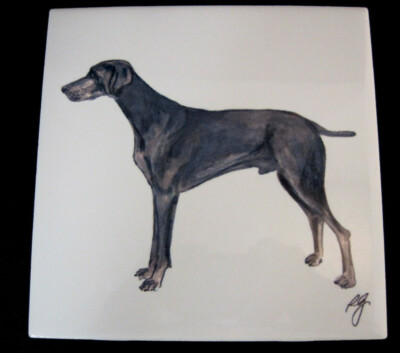 Weimaraner Dog Painted Glazed Art Tile Wall Hanging Artist Signed 
