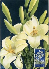 MAXIMAPHILIE / CARTE MAXIMUM // FLORE / FLEUR // SAN MARINO 1958 / GIGLIO