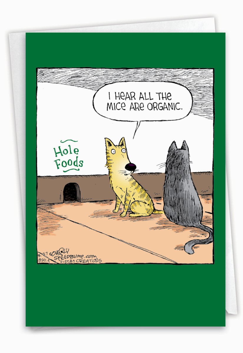 Recycled Paper Greetings Organic Mice Funny Birthday Card - Hole Foods Design