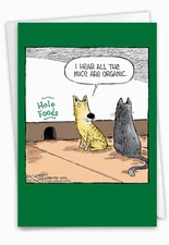 1 Funny Birthday Card with Envelope - Hole Foods C2684BDG