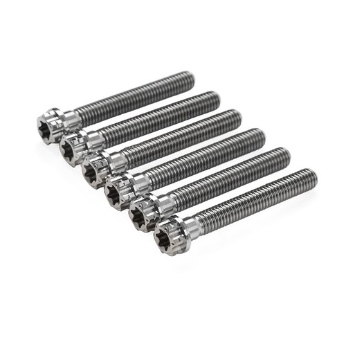 6Stücks Titan Schrauben Torx Kopf Flansch Schrauben M10x45mm Für Motorrad Silber - Photo 5/12