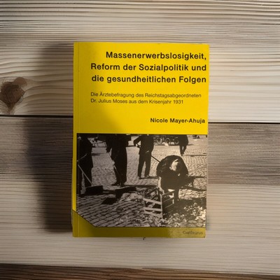 N. Mayer-Ahuja: Massenerwerbslosigkeit, Reform der Sozialpolitik und Folgen 1931