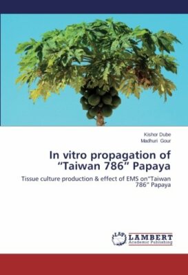 In vitro propagation of Taiwan 786 Papaya: Tissue culture production & effect