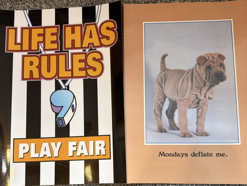 Classroom Poster Set 11 posters (2 sizes) laminated Argus brand (1 is not)