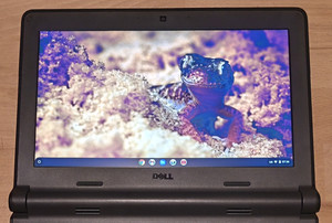 Dell Chromebook 11 3120, 4GB/16GB, Grau, inkl. Netzteil, sehr gut erhalten