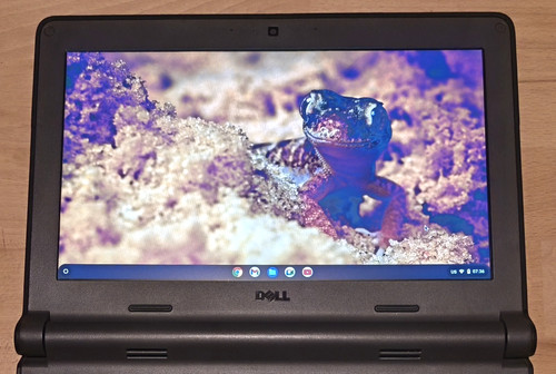 Dell Chromebook 11 3120, 4GB/16GB, Grau, inkl. Netzteil, sehr gut erhalten