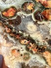166g A+ Orbicular Ocean Jasper 8th Vein. Specimen, Cabbing, Wire Wrap, Tumble — photo 7