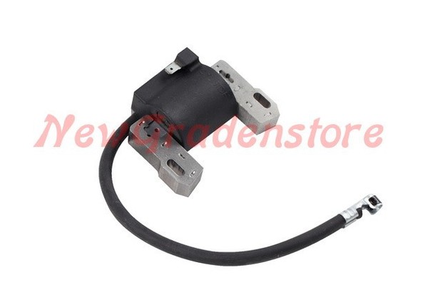 Motorrolle FüR RasenmäHer Briggs & Stratton 844548 845606-image