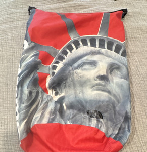 Supreme x The North Face Statue of Liberty Red Daypack Adjustable Straps Nylon