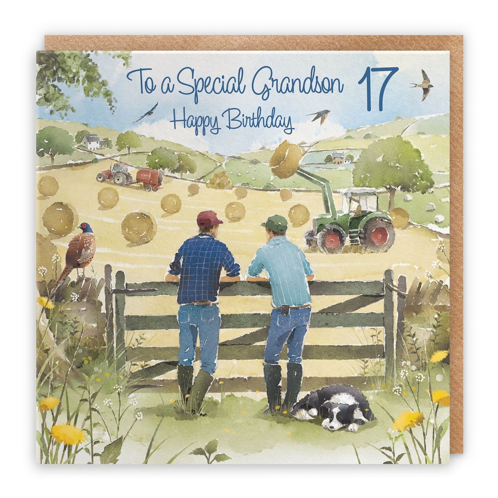 17th Grandson Birthday Card Haymaking Milo's Gallery