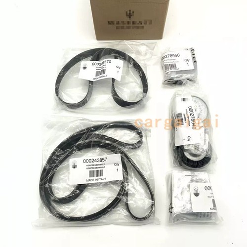 Maserati Quattroporte S Q4 2013-2016 Belt tensioner pulleys Set P/N 278950 Photo - $150
