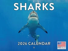 Shark Calendar 2026 Monthly Wall Calender 12 Month 12x18