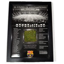 RARE FC Barcelona Grass of The Champions Collectible Camp Nou Soccer W/ COA