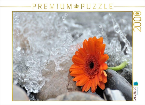 Calvendo Puzzle A Scene From The Nature Calendar—In Detail | 2000 Pieces, Finish-image
