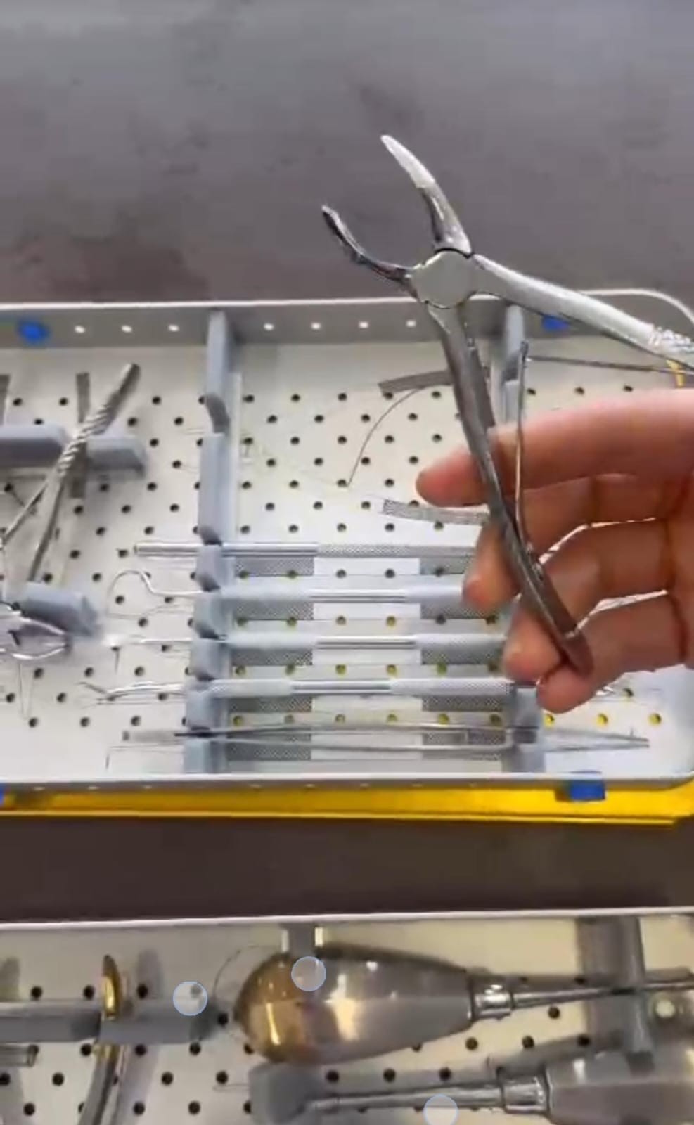 Dental Surgical Instrument Set with Sterilization Tray Extraction Forceps Elevat