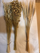 DRIED FLOWERS 'THREE NATURAL FLOWERS POSY' WEDDING EASTER SIMPLE BOUQUET 12"