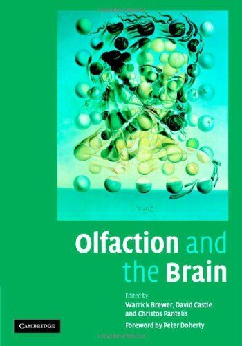 Olfaction and the Brain by WarrickJ Brewer (Hardcover) (2006)