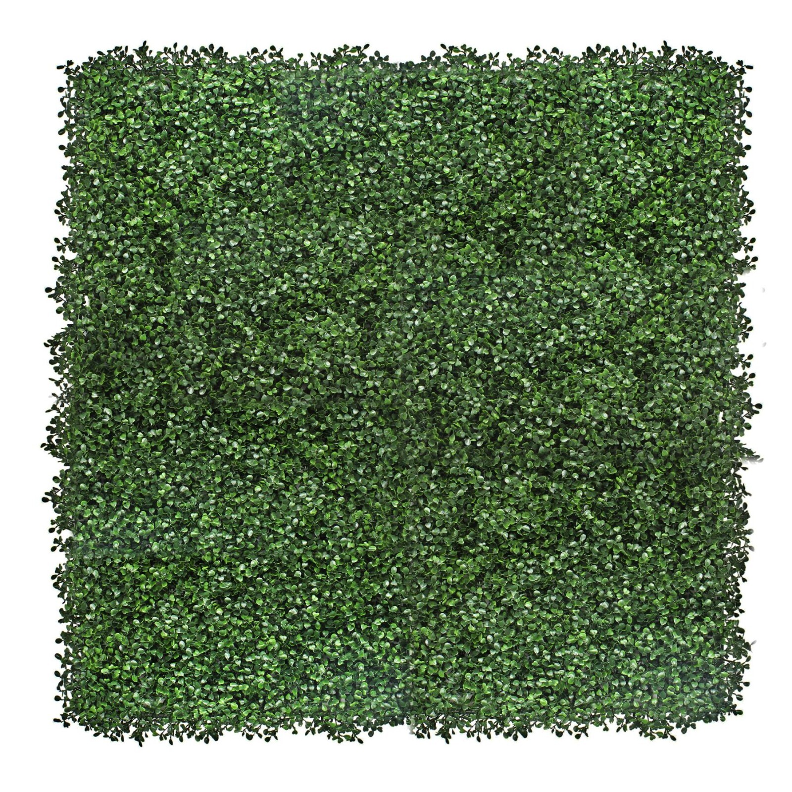 Artificial Green Boxwood Living Wall Hedge Plant Panel In/Outdoor 100x100cm