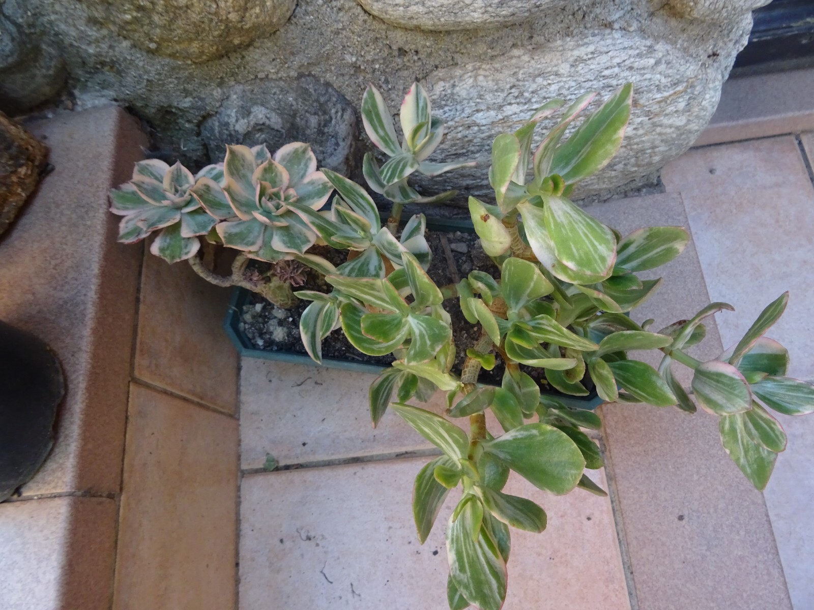 Picture 19 of 24