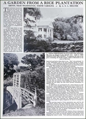 ORTON, NEAR WILMINGTON, NORTH CAROLINA : A GARDEN FROM A RICE PLANTATION. BY A.G