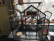 Parrot Cage - ideal for smaller parrots - conure, kakiriki, cockatiel etc