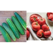 Burpee Straight Eight Slicing Cucumber 200 Seeds & 'Delicious' Beefsteak Slicing