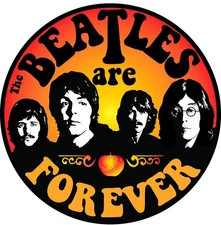 Beatles Magnet   