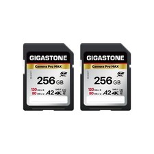 5-Yrs Free Data Recovery GIGASTONE 256GB 2-Pack SD Card, 4K Camera Pro MAX,...