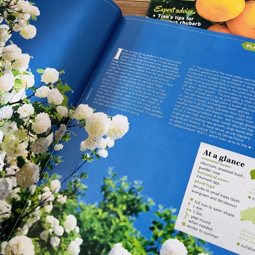 Gardening Australia Magazines x 3 Growing Small Spaces Bees Citrus Trees 2016 #g - Picture 14 of 24