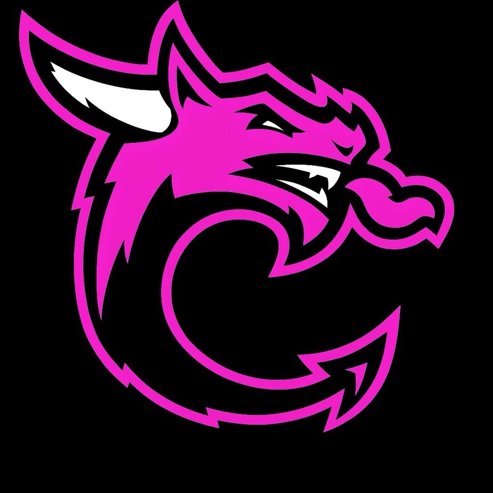 Camisa de Hockey Personalizada Columbus River Dragons Rosa La Pista Todo Impreso Unisex Foto 3 de 4