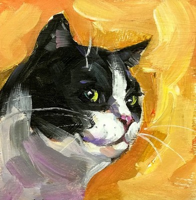 Original Oil Painting Black White Cat Portrait Cute Animals Art